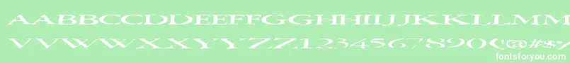 フォントSquish – 緑の背景に白い文字