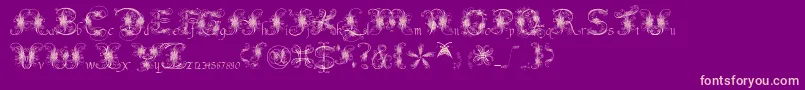 Fantasticpete3.03 Font – Pink Fonts on Purple Background