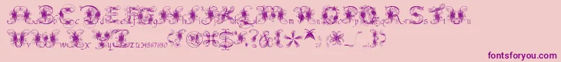 Fantasticpete3.03 Font – Purple Fonts on Pink Background