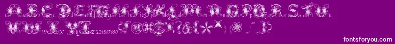 Fantasticpete3.03 Font – White Fonts on Purple Background