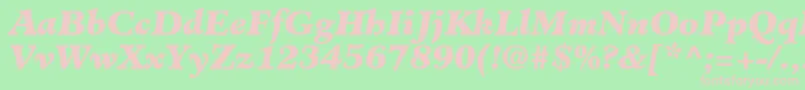 ClericBlackSsiBlackItalic Font – Pink Fonts on Green Background