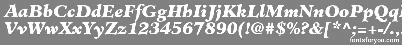 フォントClericBlackSsiBlackItalic – 灰色の背景に白い文字