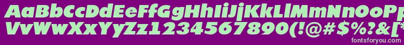 Futur21 Font – Green Fonts on Purple Background