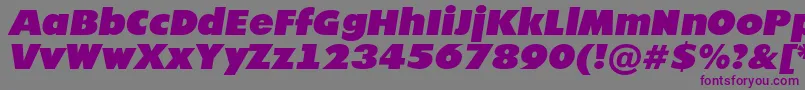 Futur21-fontti – violetit fontit harmaalla taustalla