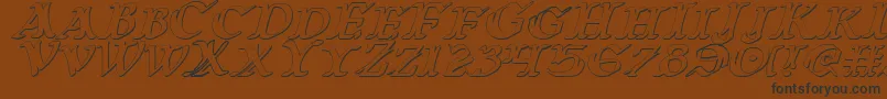 WarsOfAsgard3DItalic Font – Black Fonts on Brown Background