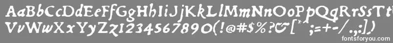 フォントDubellit – 灰色の背景に白い文字