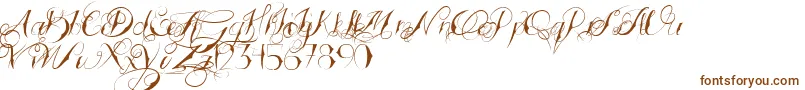 TattoedWedding Font – Brown Fonts on White Background