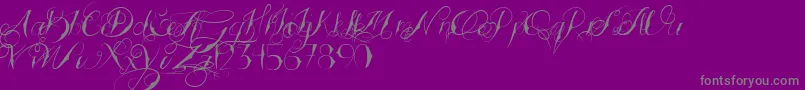 TattoedWedding-Schriftart – Graue Schriften auf violettem Hintergrund