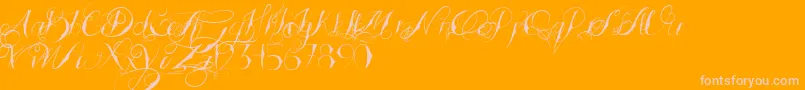 TattoedWedding Font – Pink Fonts on Orange Background