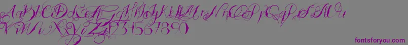 TattoedWedding Font – Purple Fonts on Gray Background