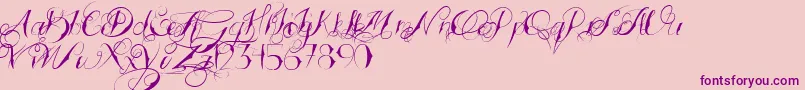 TattoedWedding-Schriftart – Violette Schriften auf rosa Hintergrund