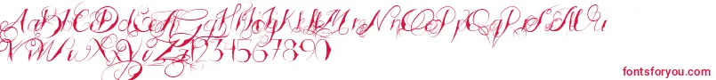 TattoedWedding Font – Red Fonts on White Background