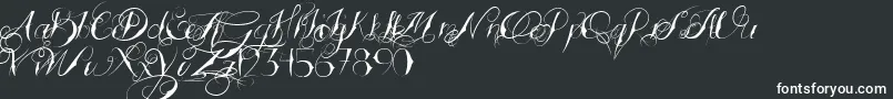 TattoedWedding Font – White Fonts