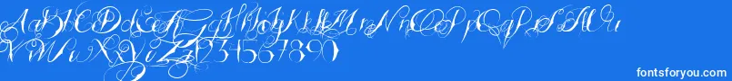 TattoedWedding Font – White Fonts on Blue Background