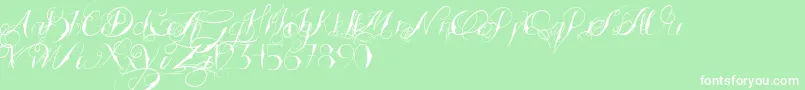 TattoedWedding Font – White Fonts on Green Background