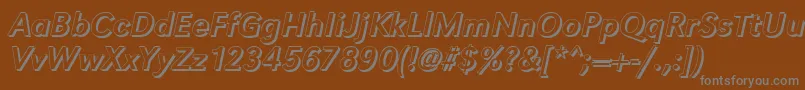 GroteskshItalic Font – Gray Fonts on Brown Background
