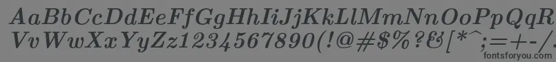 フォントLmroman10Bolditalic – 黒い文字の灰色の背景