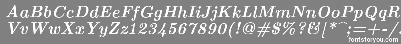 Lmroman10Bolditalic-fontti – valkoiset fontit harmaalla taustalla