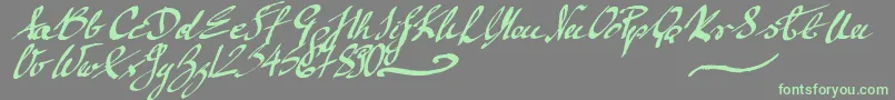 Czcionka MickeyScript – zielone czcionki na szarym tle