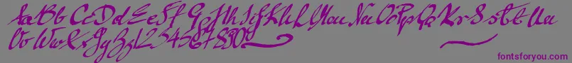 MickeyScript Font – Purple Fonts on Gray Background