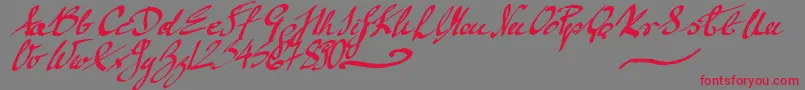 フォントMickeyScript – 赤い文字の灰色の背景
