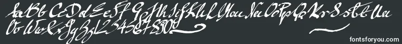 MickeyScript-fontti – valkoiset fontit mustalla taustalla