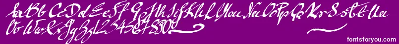 MickeyScript-fontti – valkoiset fontit violetilla taustalla