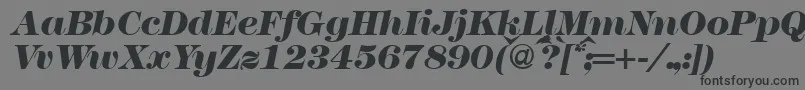 フォントModern438heavyRegularitalic – 黒い文字の灰色の背景