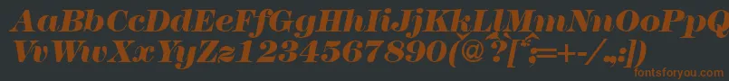 Шрифт Modern438heavyRegularitalic – коричневые шрифты на чёрном фоне