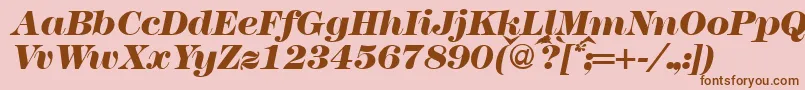 Modern438heavyRegularitalic Font – Brown Fonts on Pink Background