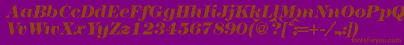 Fonte Modern438heavyRegularitalic – fontes marrons em um fundo roxo