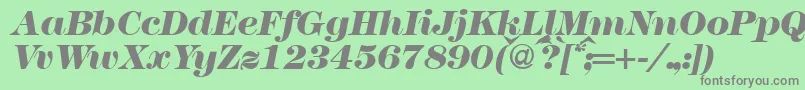 Шрифт Modern438heavyRegularitalic – серые шрифты на зелёном фоне