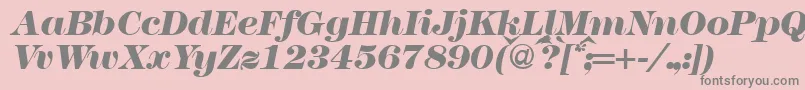 Modern438heavyRegularitalic-fontti – harmaat kirjasimet vaaleanpunaisella taustalla