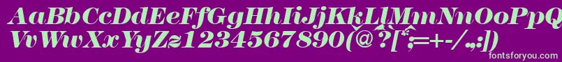 Modern438heavyRegularitalic-fontti – vihreät fontit violetilla taustalla