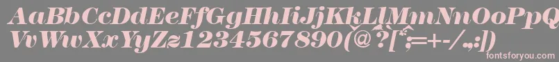 Шрифт Modern438heavyRegularitalic – розовые шрифты на сером фоне