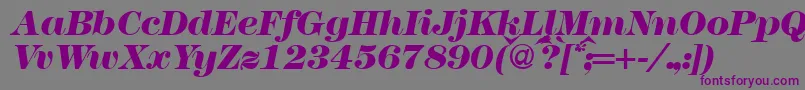 Modern438heavyRegularitalic-fontti – violetit fontit harmaalla taustalla