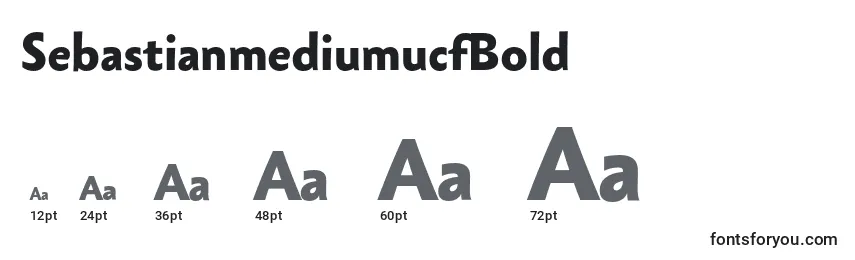 SebastianmediumucfBold Font Sizes
