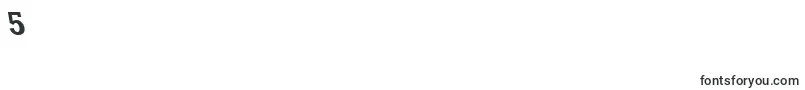 RockneyleftyBold Font – Fonts for Digit 5