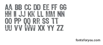 Review of the 4990810 ffy Font