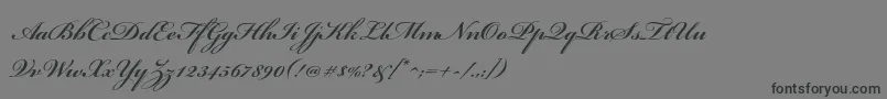 BickhamscriptstdBoldフォントについての詳細 フォントBickhamscriptstdBold – 黒い文字の灰色の背景