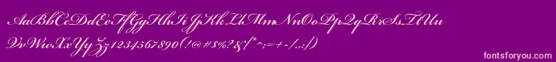 Saiba mais sobre a fonte BickhamscriptstdBold Fonte BickhamscriptstdBold – fontes rosa em um fundo violeta