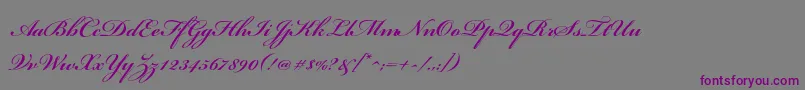 BickhamscriptstdBold-Schriftart – Violette Schriften auf grauem Hintergrund