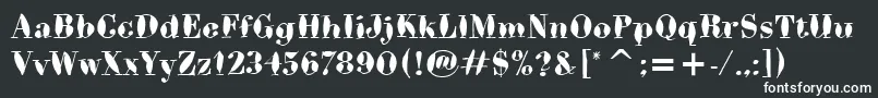 BodoniBrushItc Font – White Fonts