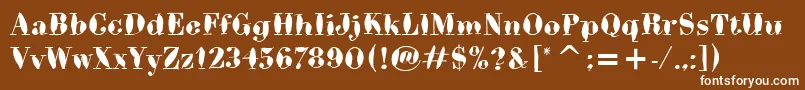 BodoniBrushItc Font – White Fonts on Brown Background