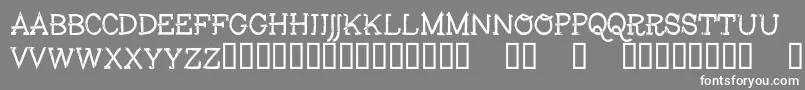 Fisher Font – White Fonts on Gray Background