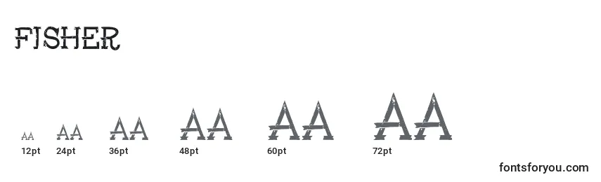 Fisher Font Sizes