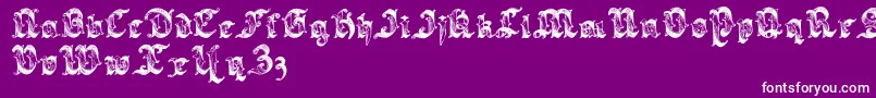 Saraband Lettering Font – White Fonts on Purple Background