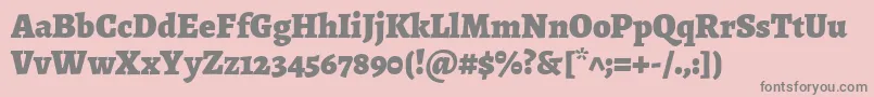 AlegreyaBlack Font – Gray Fonts on Pink Background