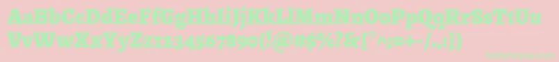 AlegreyaBlack Font – Green Fonts on Pink Background