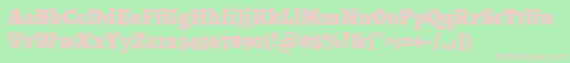 AlegreyaBlack Font – Pink Fonts on Green Background